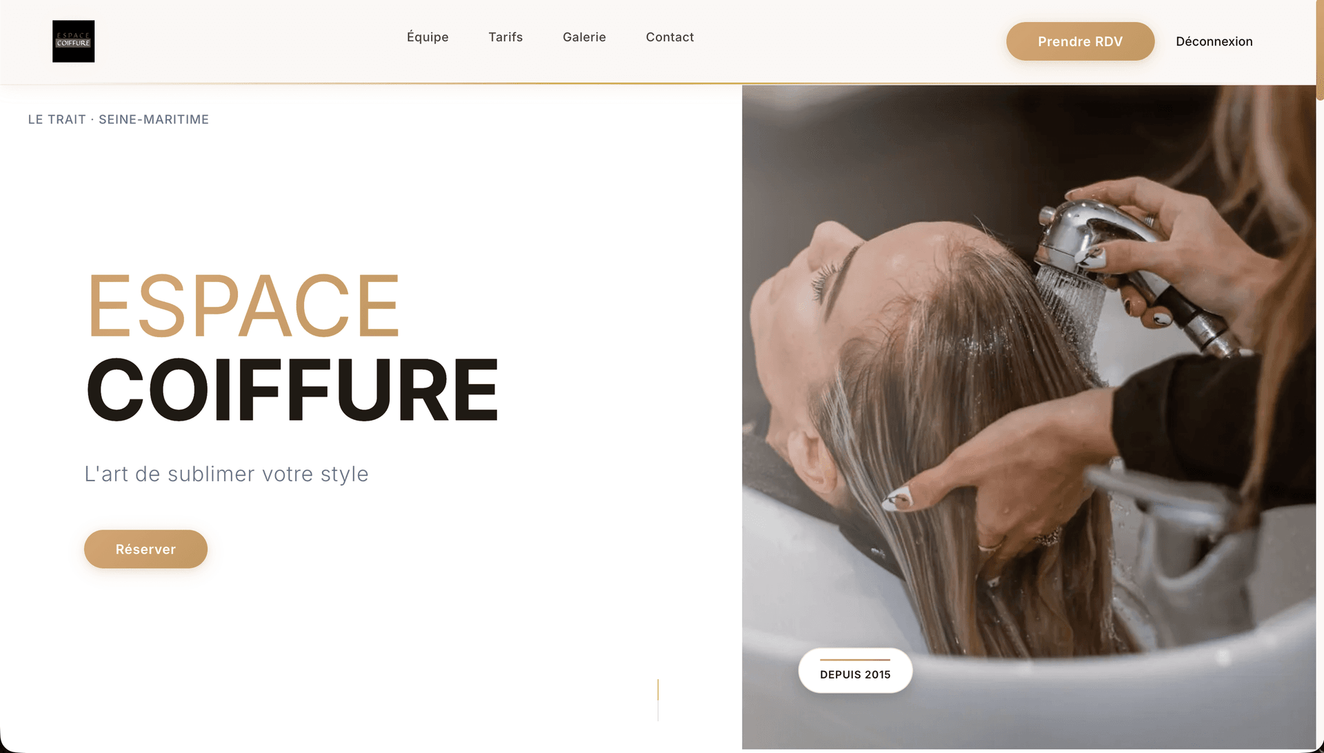 Espace Coiffure - aperçu site web